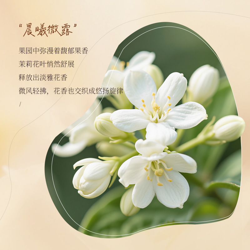 Cocoa fragrance perfume amino  - огляд і ціна Perfume Fragrance Shampoo